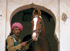 India-Rajasthan-Castle to Castle Safari in Rajasthan